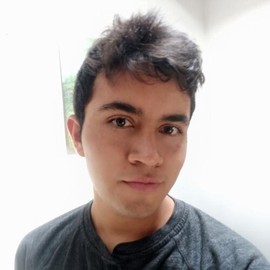 Johan Sebastian Castiblanco